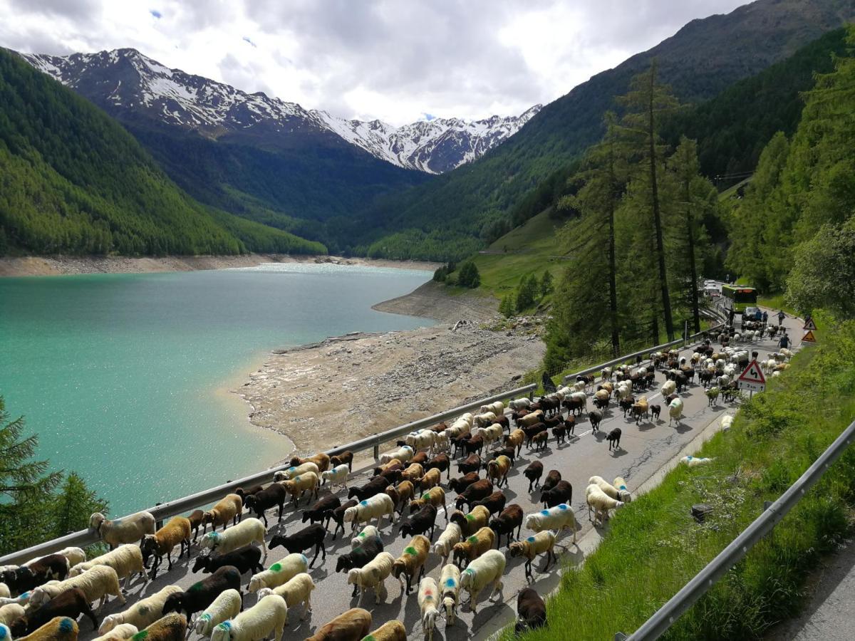 Hotel Vernagt Senale Esterno foto